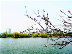 我市旅游經(jīng)濟(jì)實(shí)現(xiàn)“開(kāi)門紅”