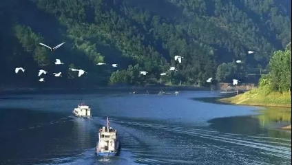 益陽安化?天下茶道、云臺(tái)山、茶香花海2日游