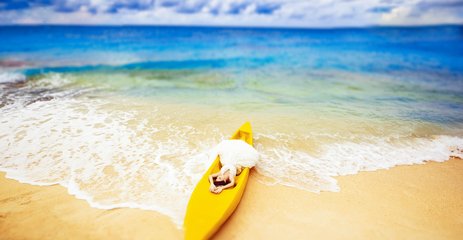 【新長(zhǎng)灘-尊享長(zhǎng)灘島】超值純玩半自由行7日游