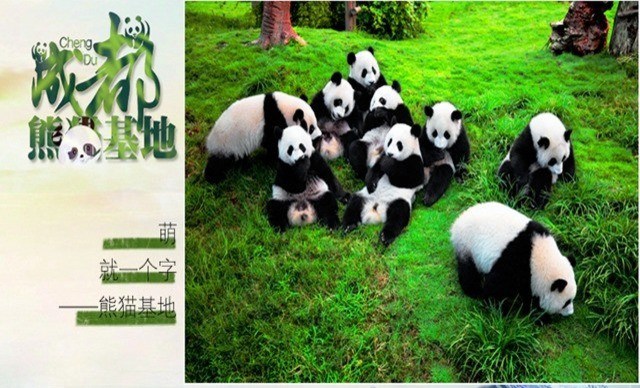 長沙、成都雙飛6天