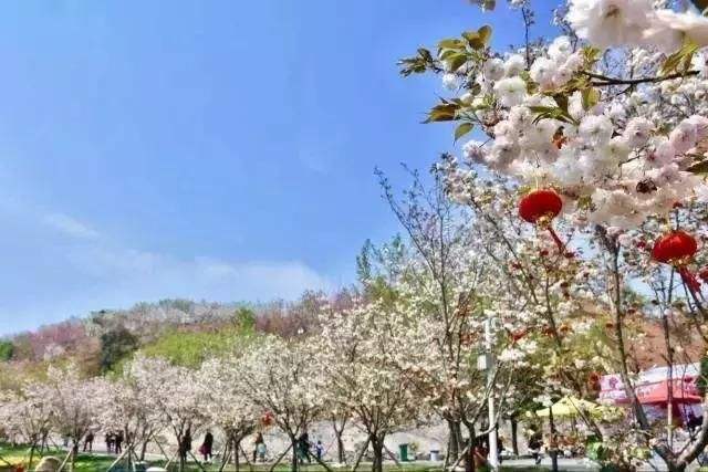 長沙潯龍河櫻花谷、田漢文化園一日游