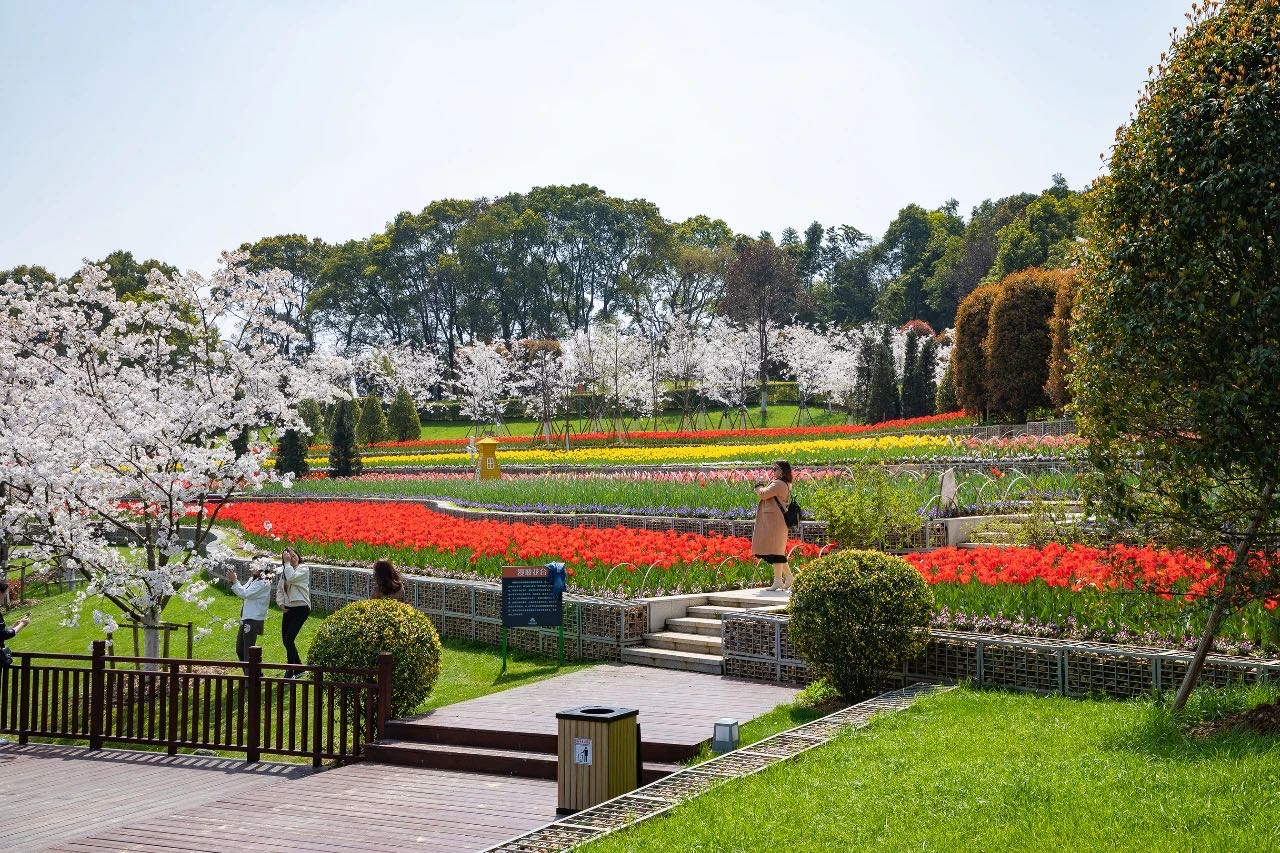 岳陽(yáng)花語(yǔ)世界、汴河街一日游